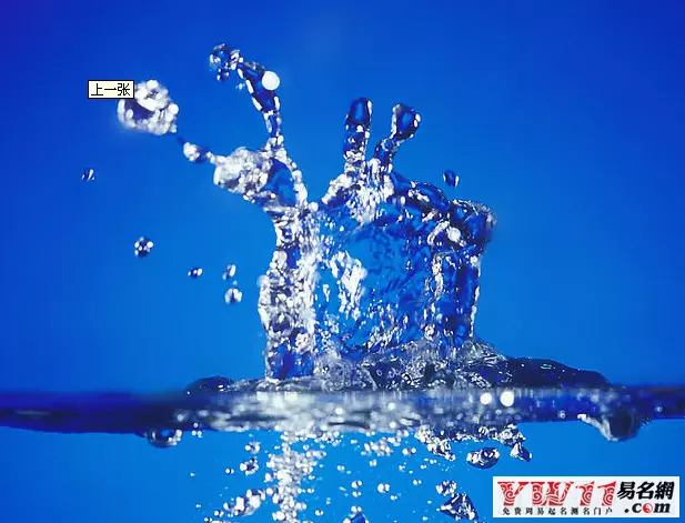 西面五行属什么:风水鱼养几条好什么颜色