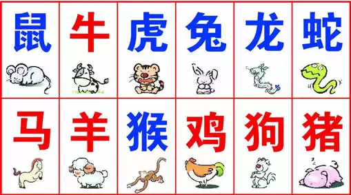 5、十二生肖顺序图片:十二生肖顺序排列