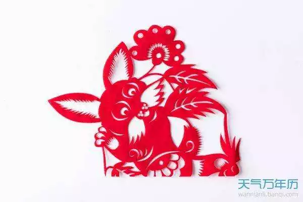 屬兔的人和什麼屬相最配，屬兔的人養什麼花旺財