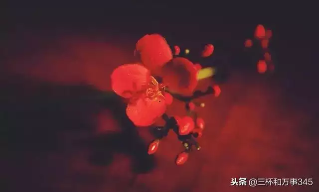 0年属猴42岁会有什么大劫，1980猴的大运之年"
