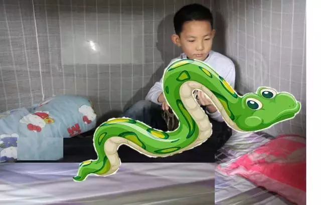 鼠和蛇父子好不好,蛇爸生鼠寶寶好不好