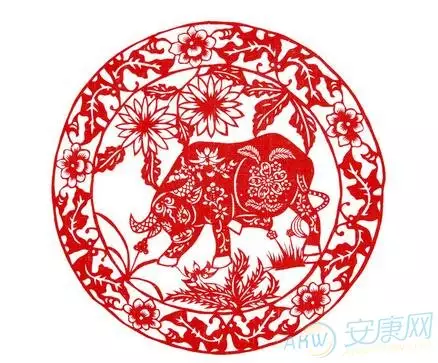5、属牛的和属牛的生什么属相的孩子好:属牛要什么属相的孩子好