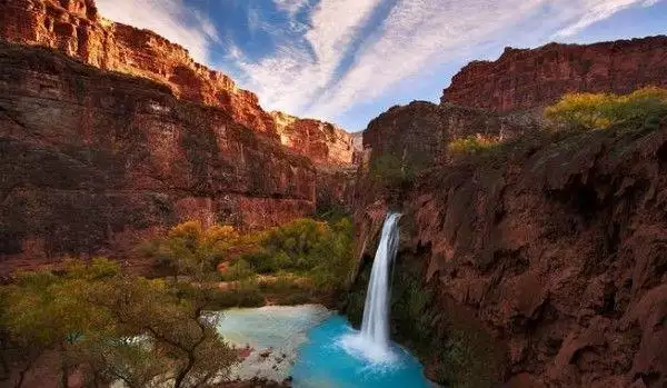 羊在風水中代表什麼，羊代表什麼象徵意義