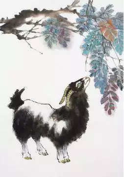 979年屬羊人一生的劫難，1979年屬羊一生大劫年"