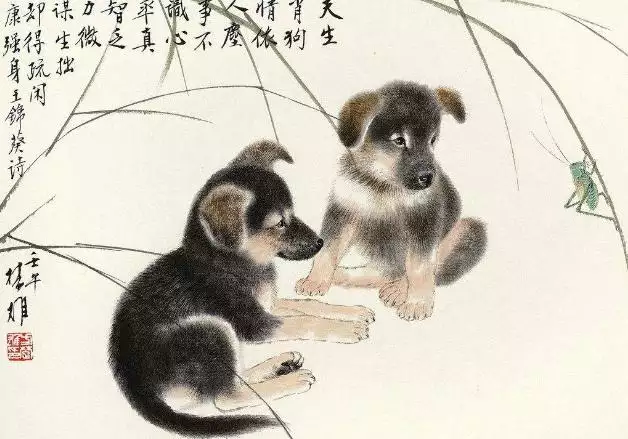 0年屬狗51歲后命運,70年屬狗女晚年命運"