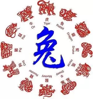 1、属兔财运运势如何:属兔的今年运势怎么样