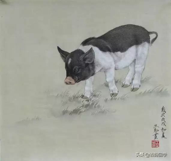 2生肖屬相配對錶，12生肖配對姻緣禁忌"