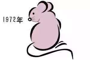 屬兔的人會克屬鼠的嗎，88年的兔和什麼屬相衝