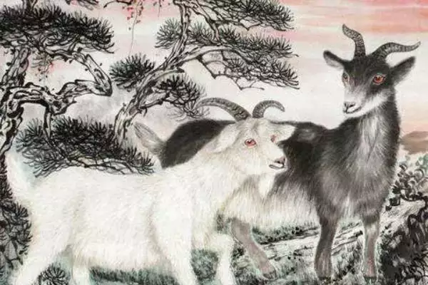 979年屬羊的男人性格，屬羊男一生命運如何"