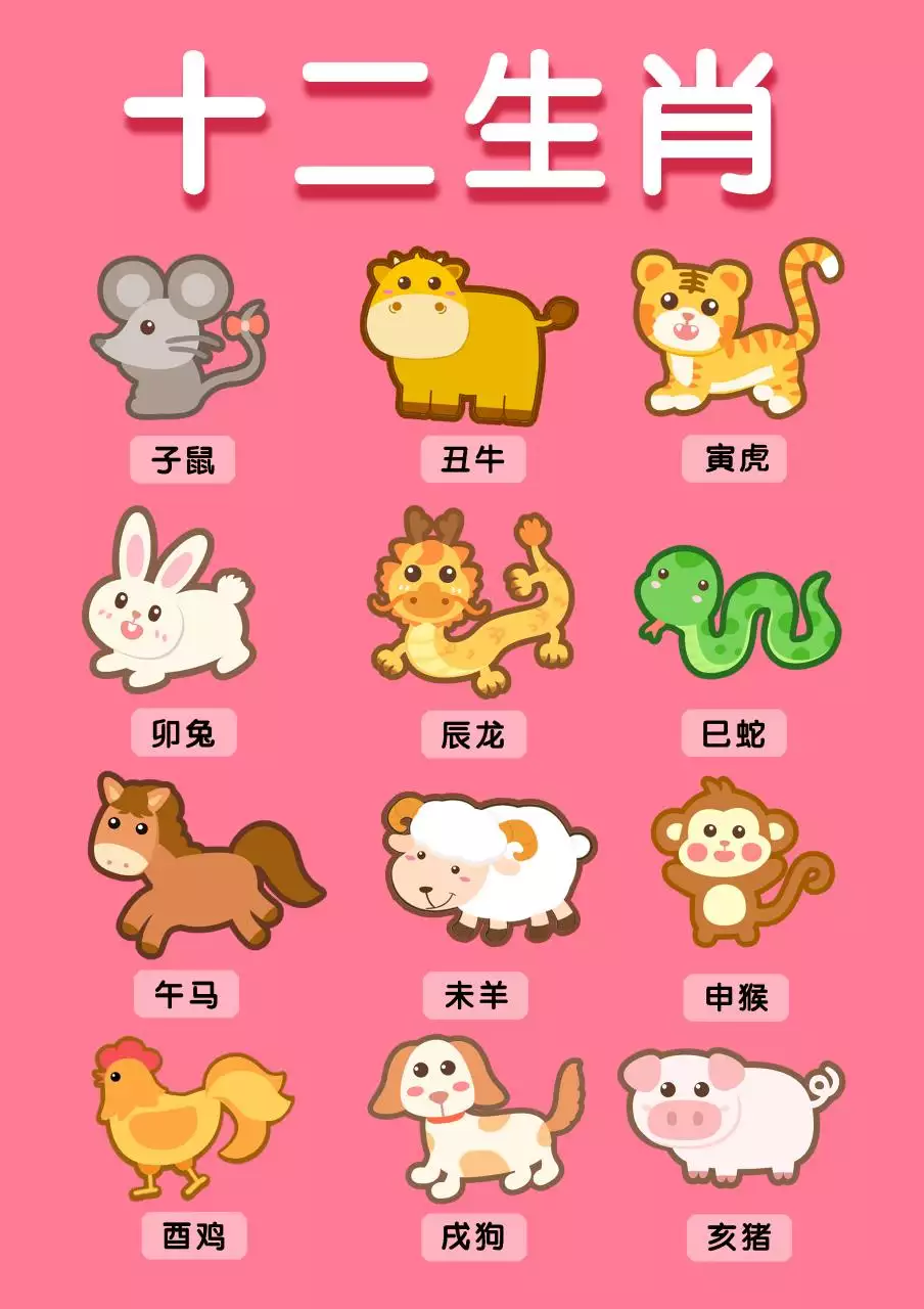 1、属相是什么:是什么生肖日