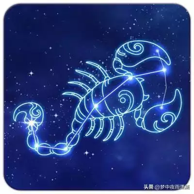 生肖鼠命中註定的情劫,2022 年註定二婚的生肖女