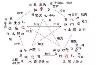 筱在五行属什么
