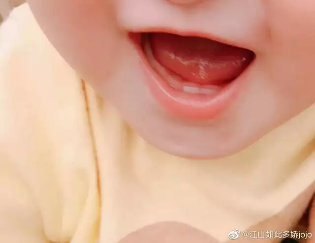 一月到十二月的順口溜，一年十二個月大小順口溜