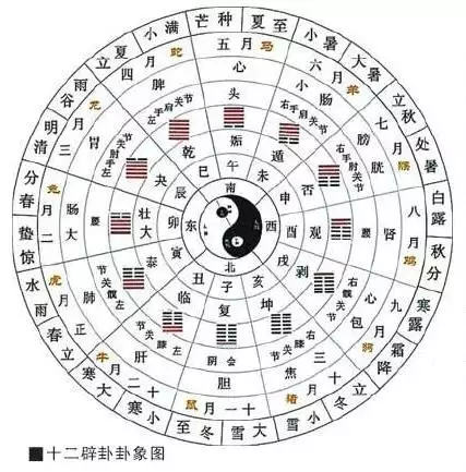 1、有人說如果能《周易》這本書，世界上的未解之謎都能揭開，是真的嗎？