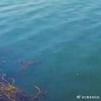 钰字五行属什么凶吉：钰晗的含义是什么