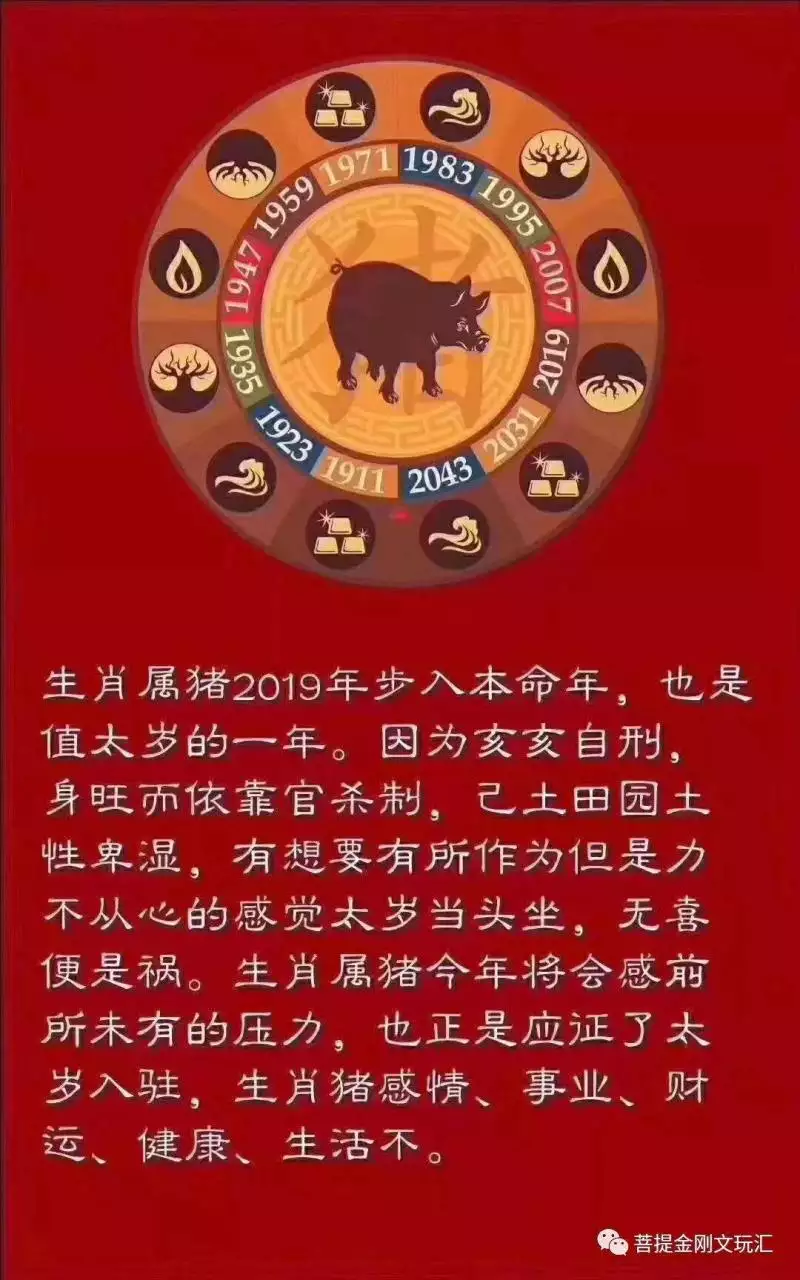 出生1983年豬年本命年運勢，豬年本命年要注意什麼