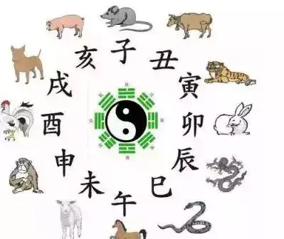 女孩出生的四個更佳時辰，福氣大的出生時辰女人