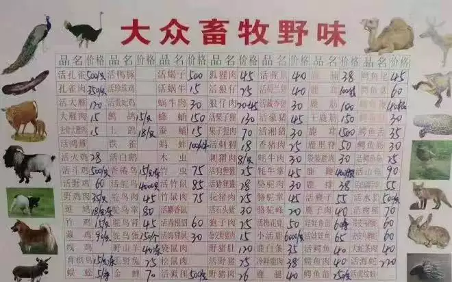 5、属什么生肖:十二生肖属什么？