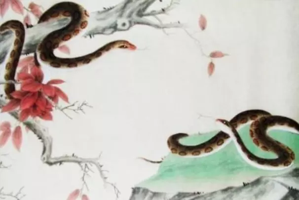 属蛇人命中注定的情人：属蛇女命中注定的人