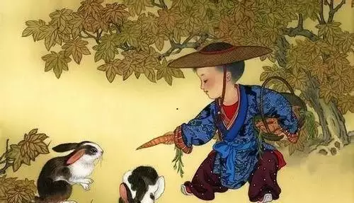 十二生肖属性表，十二生肖年份表图片