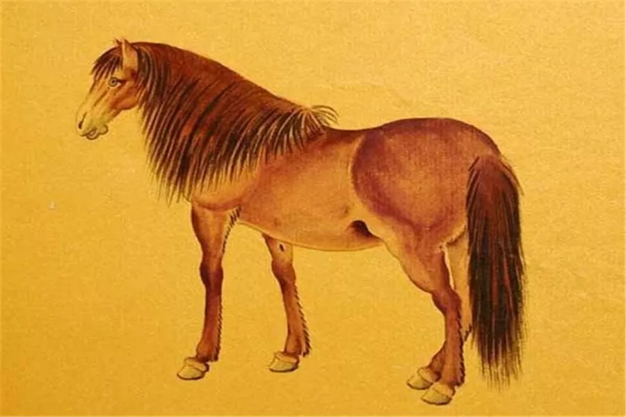 4、牛馬婚姻是否相配:屬馬和屬牛的可以在一起么？