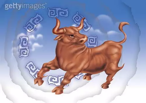 今年属牛人的财运如何：属牛人今年财运如何
