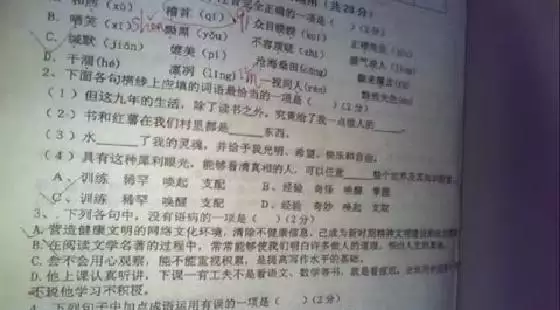 寅时属什么五行：寅时是什么五行