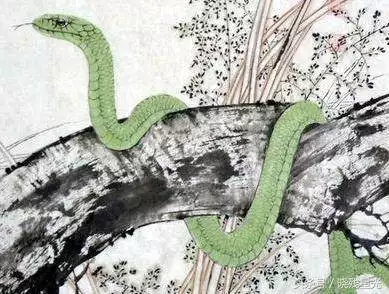 7年屬蛇的更佳配偶是什麼,1977年4月屬蛇的與什麼最配"