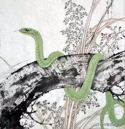 屬蛇的今年財運如何，屬蛇人今年的運氣財運