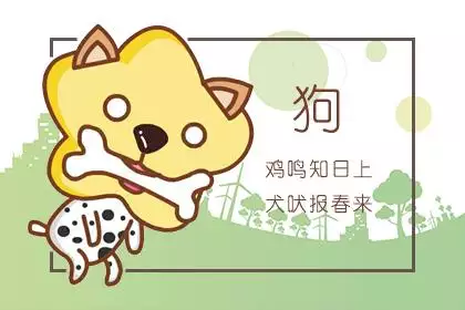屬狗的61歲以後的命運，58年屬狗終身壽命