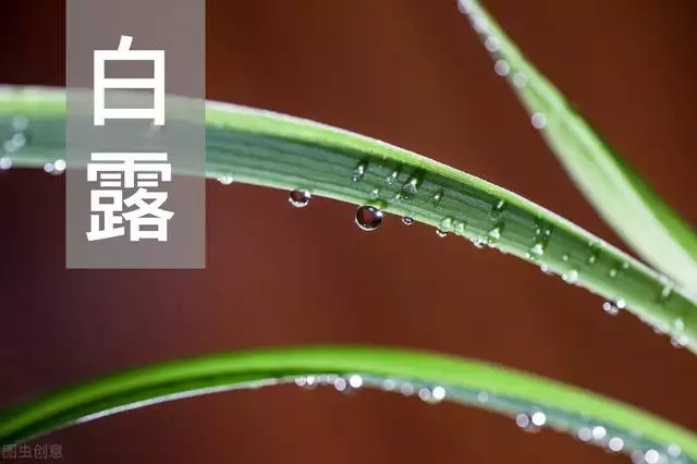 2年狗2022年必有一難，82年女狗2022年運勢"