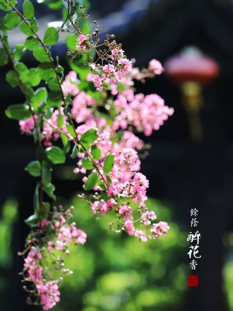 2、科技每日运势:运势