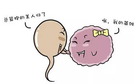 4、生儿子一定要在排卵前还是后:正在备孕二胎,求科学生男孩的方法?