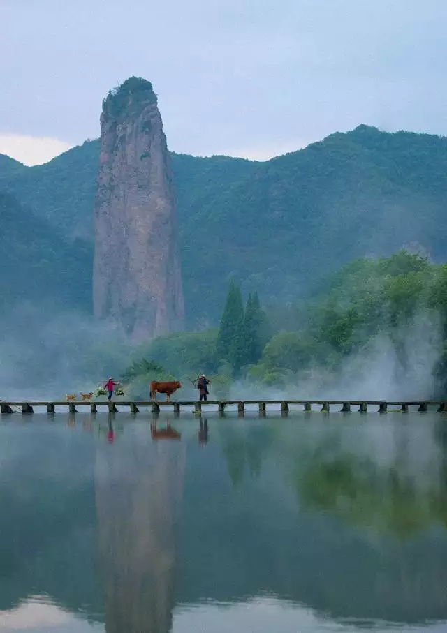一月出生的牛是什麼命，十月的牛女是什麼命