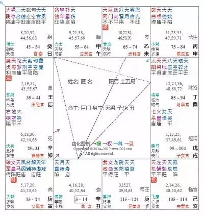 斗数最好的格局