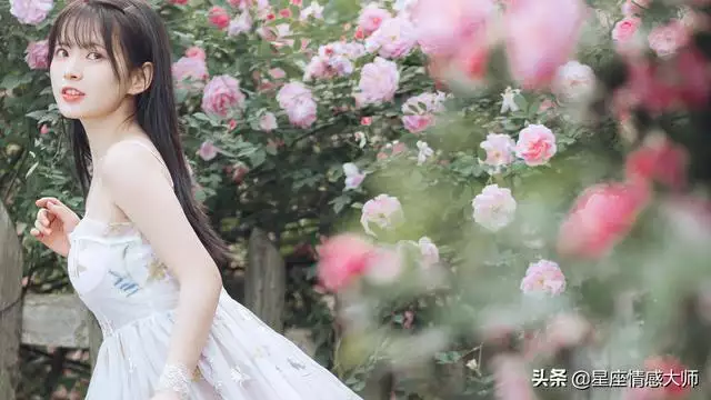 022属狗的全年运势，属狗人明年运势2022"