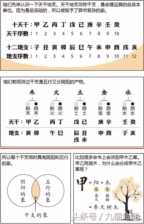 2、八字天干地支相合:合八字是天干地支都有合