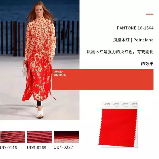 022最全生肖代表總匯圖片，2022年什麼命"