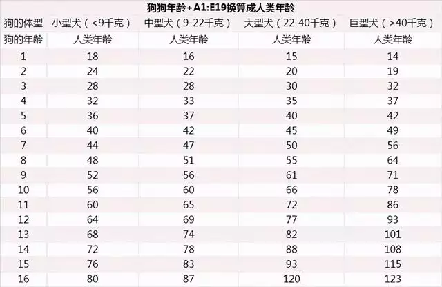 羊的六歲相當於人多少歲，狗四歲相當於人幾歲