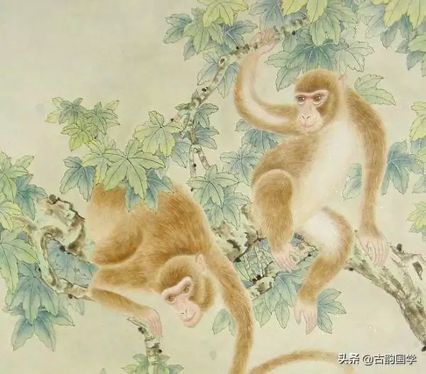 屬羊和雞生什麼屬相寶寶好，雞和羊生什麼屬相更好