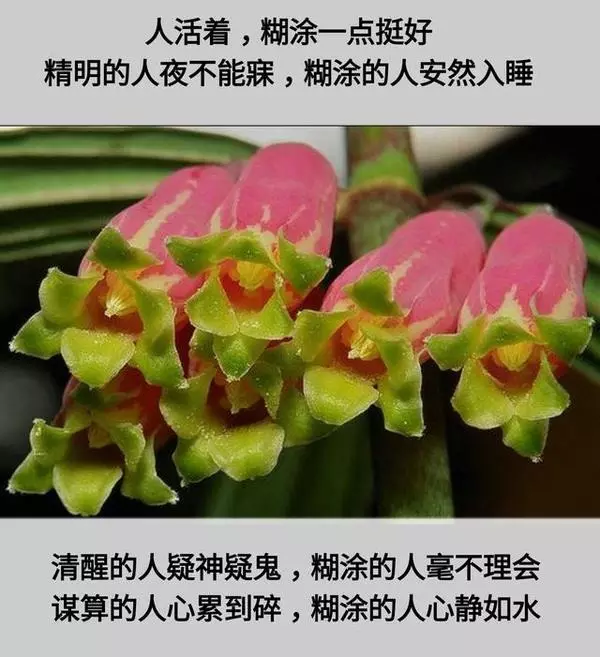 2、幹活很慢的人腦子一定也很笨:做事手腳慢，頭腦笨記性差的人就因該死嗎