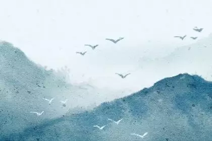 2、算命说我年和年两年动婚是什么意思？两个配偶要结两年婚吗？