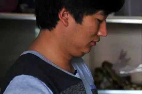 鼠和蛇父子好不好,蛇爸生鼠寶寶好不好