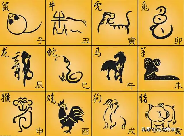 易經與十二生肖，易經十二生肖人生預測