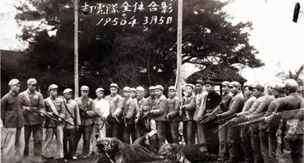 生肖老虎是那幾年的，虎出生有哪些年