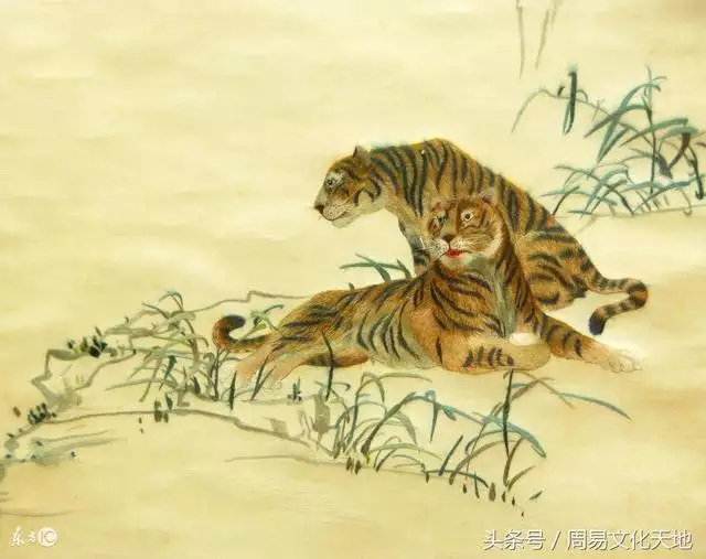 虎年遇虎年運勢，屬虎74年大溪水後半生