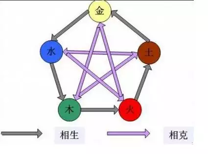 1995年五行属什么