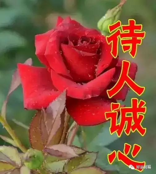 4、一生好運幸福發財女昵稱:好運微信名昵稱有哪些？