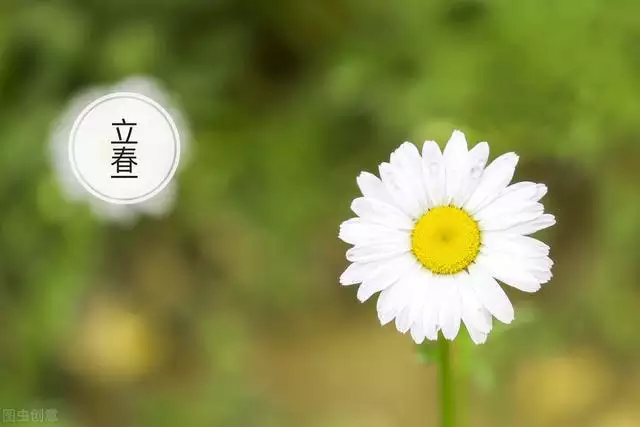 為什麼豬和狗不能結婚，為什麼叫豬狗大戰