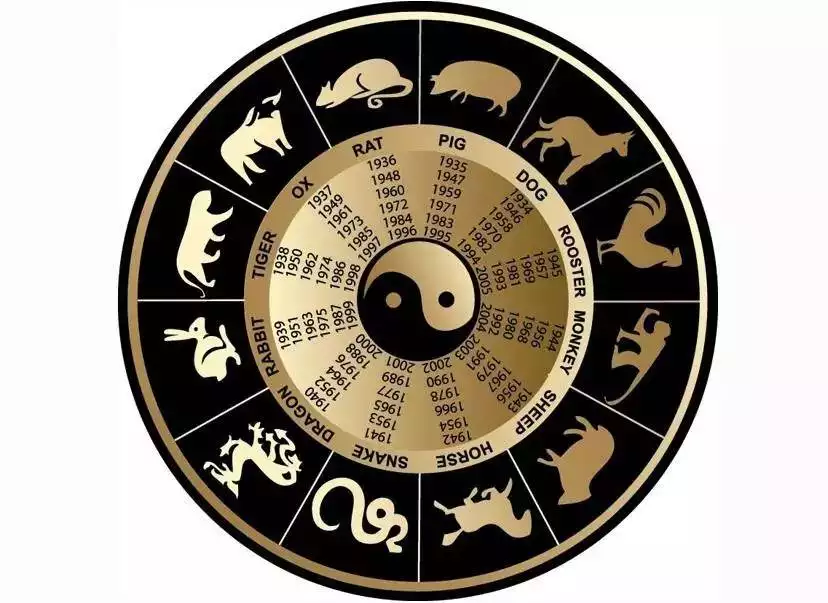 6、十二生肖谁最厉害排名:十二生肖总动员哪个最强